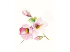 Komar Bilder^Wandbild Magnolia Breathe 40 x 50 cm