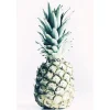 Komar Bilder^Wandbild Pineapple 50 x 70 cm