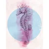 Komar Poster^Wandbild Sea Horse Circle 50 x 70 cm