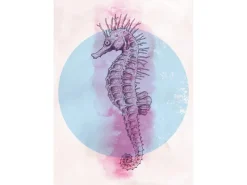 Komar Poster^Wandbild Sea Horse Circle 50 x 70 cm