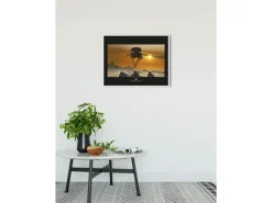 Komar Bilder^Wandbild Star Wars Droid 50 x 40 cm