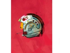 Komar Bilder^Wandbild Star Wars Pilot 40 x 50 cm