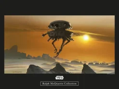 Komar Bilder^Wandbild Star Wars Droid 40 x 30 cm