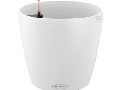 Lechuza ® Pflanzgefäß Classico Color 18 Ø 18 cm