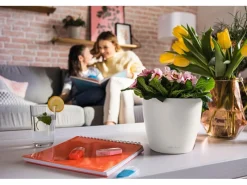 Lechuza ® Pflanzgefäß Classico Color 18 Ø 18 cm