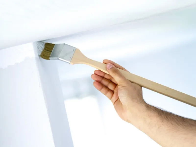 LUX-TOOLS LUX Eckenpinsel Dispersion 50 mm