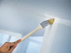 LUX-TOOLS Malerbedarf|Außen-Fassadenfarben^LUX Eckenpinsel Dispersion 50 mm