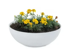 Vogeltränken^matches21 HOME&HOBBY Pflanzschale für Draussen in Hell-Grau Marmoriert 20 x 7,5 cm