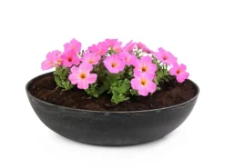 Vogeltränken^matches21 HOME&HOBBY Pflanzschale für Draussen in Marmoriert 37 x 10,5 cm