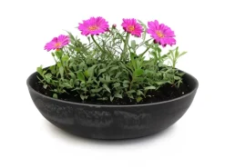 Vogeltränken^matches21 HOME&HOBBY Pflanzschale für Draussen in Marmoriert 30 x 9 cm