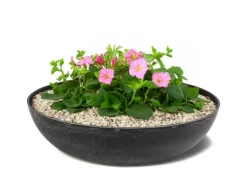 matches21 HOME&HOBBY Pflanzschale für Draussen in Marmoriert 45 x 13 cm