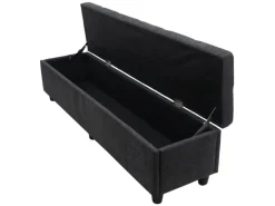 MCW Aufbewahrungs-Truhe Kriens XXL