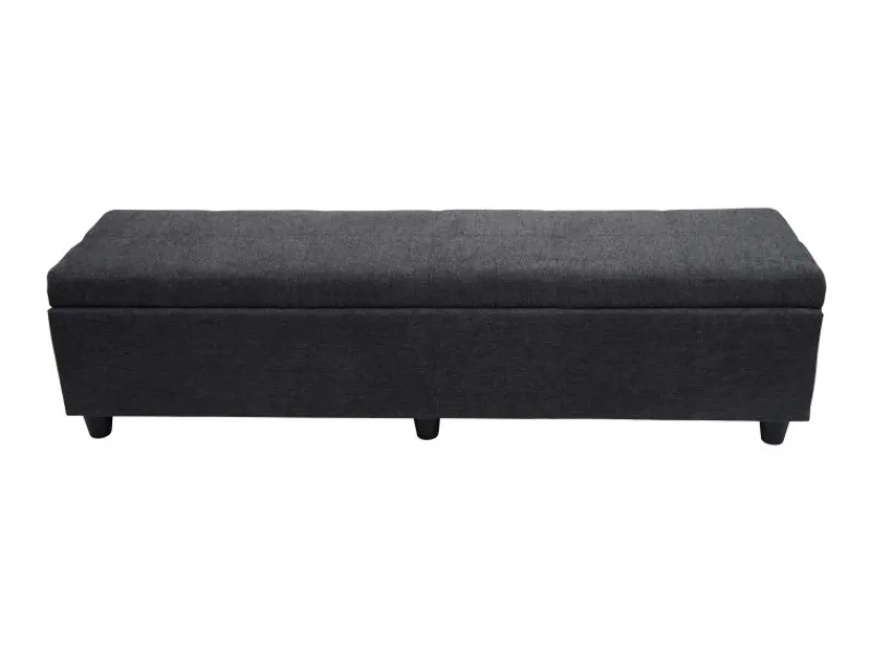 MCW Aufbewahrungs-Truhe Kriens XXL