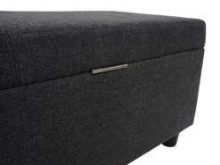 MCW Aufbewahrungs-Truhe Kriens XXL