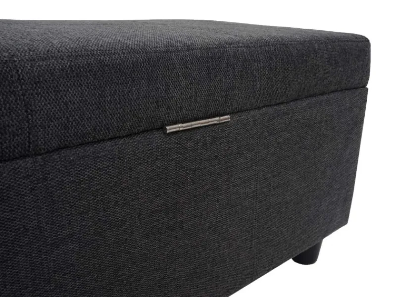 MCW Aufbewahrungs-Truhe Kriens XXL