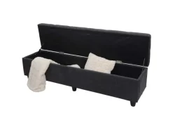 MCW Aufbewahrungs-Truhe Kriens XXL