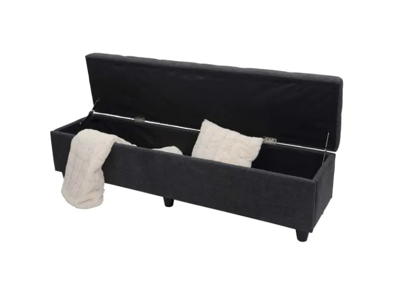 MCW Aufbewahrungs-Truhe Kriens XXL