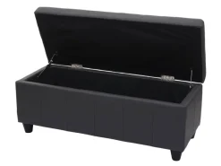 MCW Aufbewahrungs-Truhe Kriens Kunstleder 45x114x45cm Matt