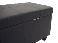 MCW Aufbewahrungs-Truhe Kriens Kunstleder 45x114x45cm Matt