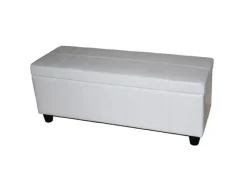 MCW Aufbewahrung^Aufbewahrungs-Truhe Kriens Leder/Kunstleder 112x45x45cm