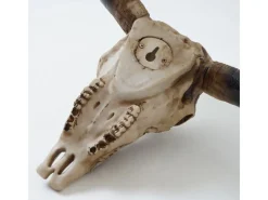MCW Dekorative Figuren^Deko Schädel C15 Longhorn