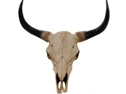 MCW Deko Schädel 45cm T454 Stier Naturfarben
