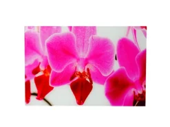 MCW Wanddekoration^Glasbild T117 40x60cm Orchidee