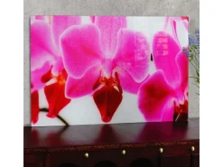 MCW Wanddekoration^Glasbild T117 40x60cm Orchidee