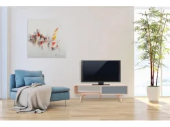 Tische^MeGusta FernsehTisch Grau Rechteckig (BxHxT) 120x45x60 cm TV Tisch Arturo