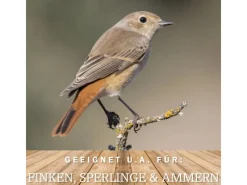 MeinWildvogel Vogelbedarf^WILDVOGEL VITAL 15 kg Vogelfutter Ganzjahresfutter für Wildvögel und Gartenvögel Wildvogelfutter OHNE GENTECHNIK