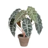 Mica Decorations Kommode^Kunstpflanze Alocasia im Blumentopf Stan Ø 36 cm x 44 cm Grün