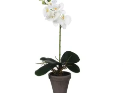 Mica Decorations Kunstpflanzen^Kunstpflanze Phalaenopsis im Topf Ø 13 cm x 48 cm