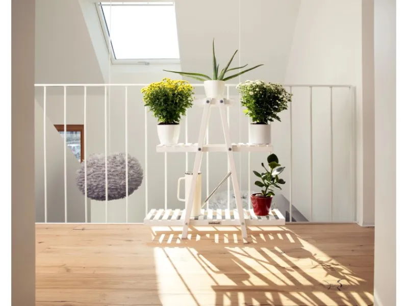 needs&wants Vasen^Pflanzenregal Bloomy1