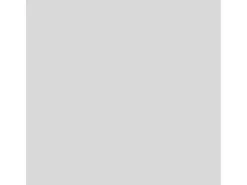 OBI Buntlacke|Sprühlacke^Buntlack Spray LH hochglänzend 400 ml