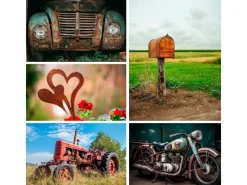 Owatrol OIL Spray Rostschutz Öl Grundierung Auto Kfz Metall 12 x 0,3L