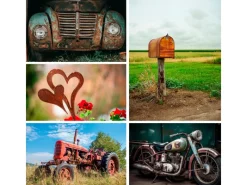 Owatrol OIL Spray Rostschutz Öl Grundierung Auto Kfz Metall 2 x 0,3L