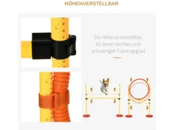 PawHut Hundebedarf^Hunde Agility Set 3-in-1-Training Inklusive Tasche