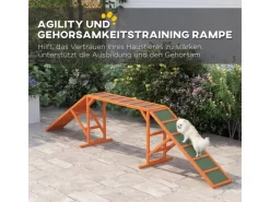 PawHut Hundebedarf^Hunde Agility Steg Tannenholz Orange 325L x 55B x 69H cm