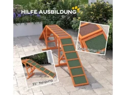 PawHut Hundebedarf^Hunde Agility Steg Tannenholz Orange 325L x 55B x 69H cm