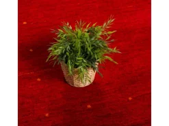 Bordüren^Pergamon Natur Teppich Indo Gabbeh Indira Bordüre Rot 90x160cm