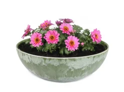 Vogeltränken^Pflanzschale für Draussen in Oliv-Grün marmoriert 20 x 7,5 cm