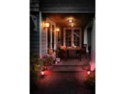 Philips Hue Laternen^White & Color Amb. Econic LED-Laternenleuchte stehend