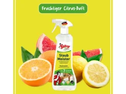 Poliboy Staubmeister Antistatik-Spray 500ml