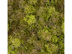 Primaflor Kunstpflanzen^Kunsthecke Moos Braun 50x50cm