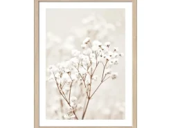 Pro Art Bild Framed Art Dried Fiber in the wind III 40 cm x 30 cm