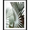 Pro Art Bild Framed Art Jungle Leaves III 40 cm x 30 cm