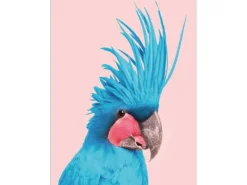 Pro Art Bilder^Dekopanel Blue Cockatoo 40 cm x 30 cm