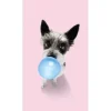 Pro Art Bilder^Dekopanel Hund Chewing Gum 30 cm x 15 cm
