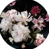Pro Art Bilder^Glasbild Baroque Flowers V Ø 30 cm