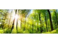 Pro Art Bilder^Pro-Art Glasbild Towards the Sun 50 cm x 125 cm x 1,4 cm